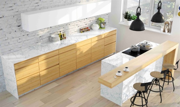 White Statuary Quartz kitchen top